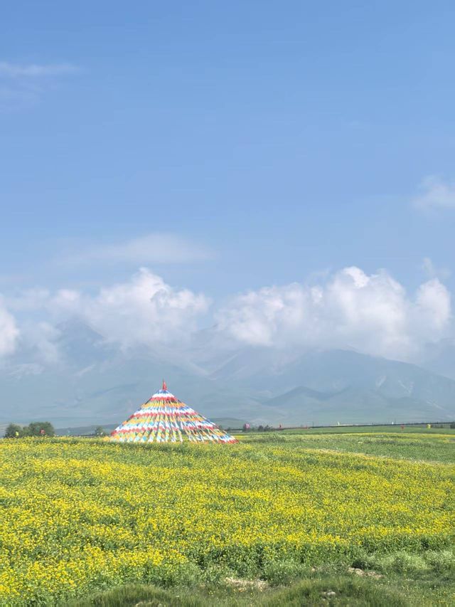 青海門源油菜花海保姆級攻略 | 7月限定絕美打卡地