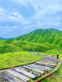 福建版「阿勒泰」！柘榮鴛鴦草場春節必去