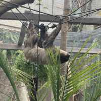 【カナダ バンクーバー】カナダ国内最大級の水族館🦭