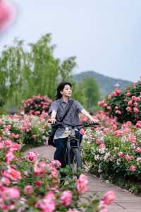 7公里躺騎天堂！20分鐘公園效應！