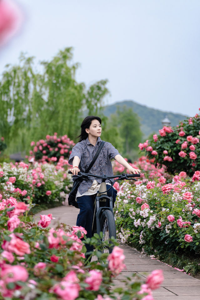 7公里躺騎天堂！20分鐘公園效應！