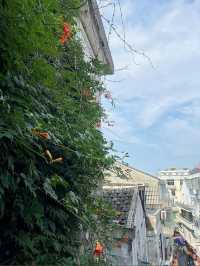 霞關清涼遊｜吃喝玩樂睇呢篇