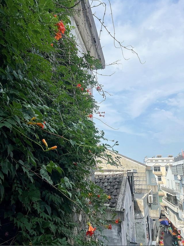 霞關清涼遊｜吃喝玩樂睇呢篇