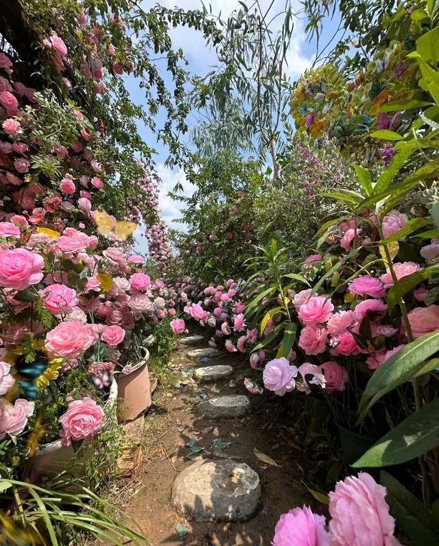夏日系治癒花園！！