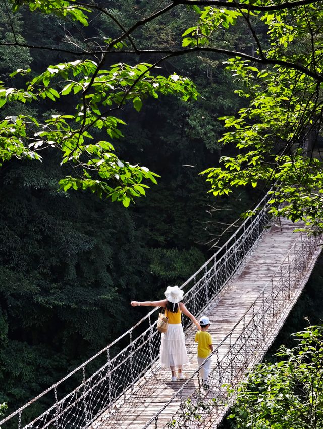 湖北百里荒避暑？適合帶小朋友嗎？講講真實感受