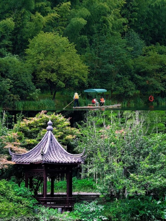 南山竹海已回，說點難聽的大實話