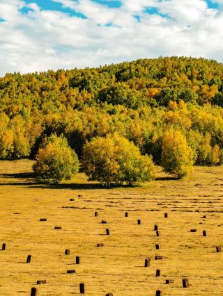 Autumn Hiking Paradise: Wulanbutong in September and October