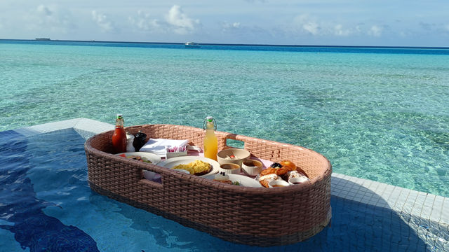 A Slice of Paradise with Exceptional Service and Cuisine A Slice of Paradise with Exceptional Service and Cuisine