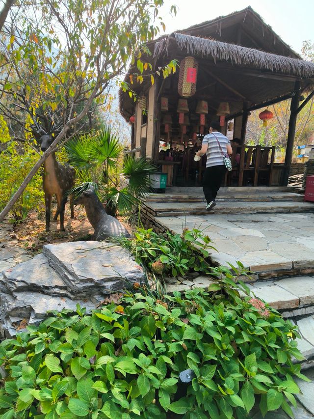 山西藏著一個「治癒系秘境」！臨汾鄉寧峰嶺景區，雲海、森林、奇峰美得令人窒息✨