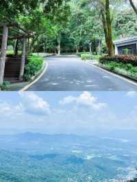 羅浮山遊玩攻略：沉浸式體驗嶺南第一山