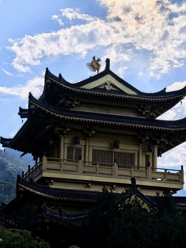 佛影悠然：金台山的禪意時光