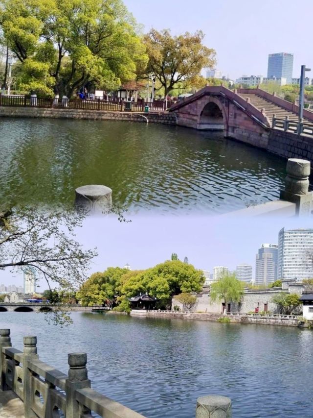 寧波月湖公園 | 千年古韻，一部寧波史，半部在月湖