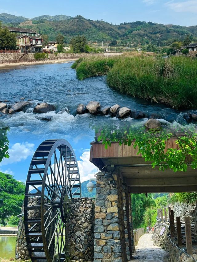 人均預算充足｜南靖親子遊天花板攻略！住土樓數星星娃都玩瘋了
