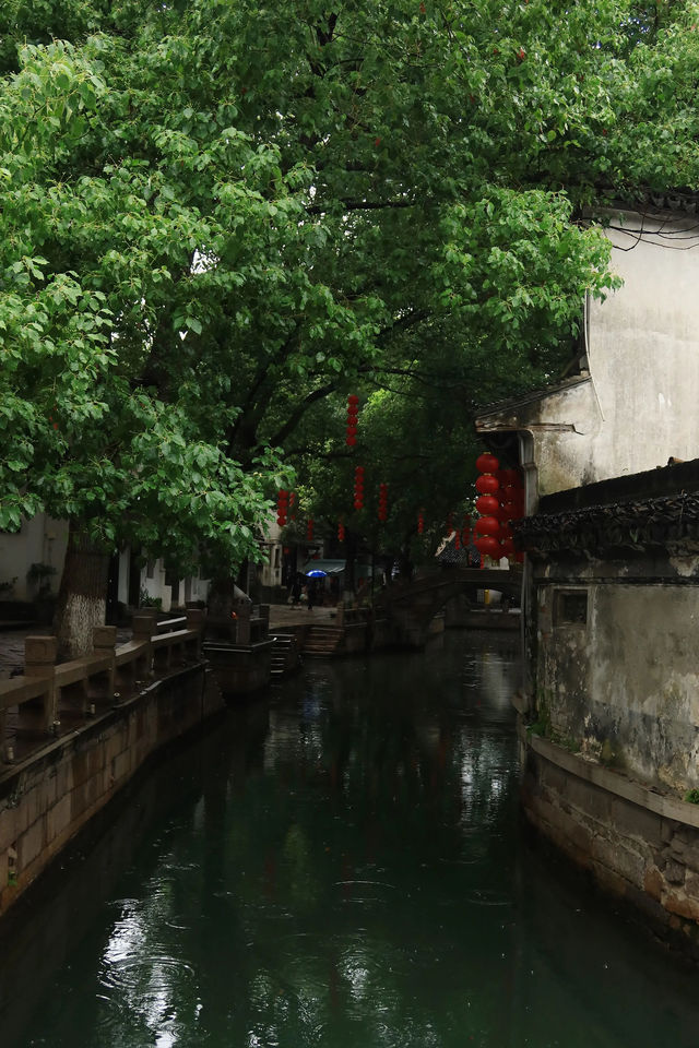 週末不買門票，去同里古鎮耍一圈，你敢信？