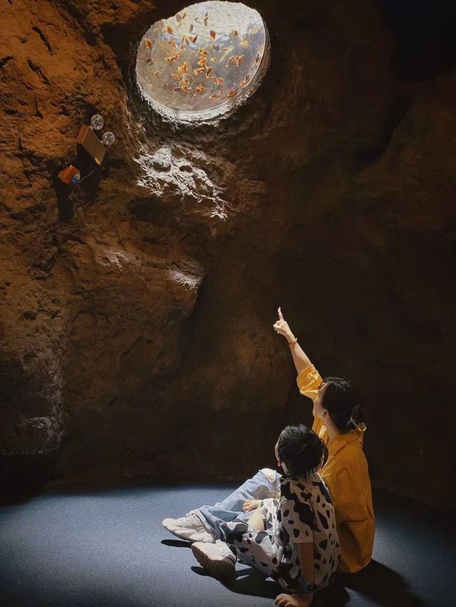 2大2小珠海長隆親子遊！玩到不想回家！||行程總結先碼