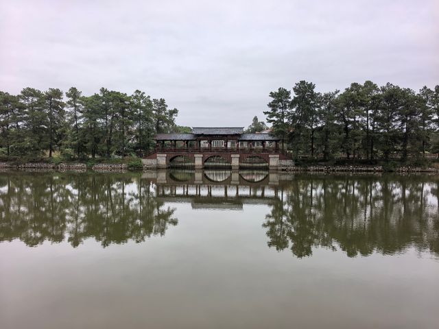 到盛產雞蘿蔔的金甲嶺尋秋
