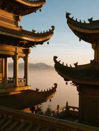 峨眉山金頂佛光之旅！雲海日出與靈猴的秋日奇遇