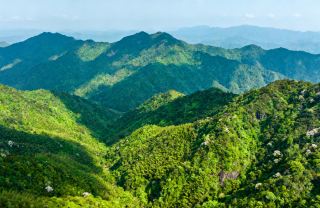 Sanbaishan, Jiangxi: Immersed in the Green Hakka Mountain and Water Tour