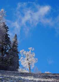 亞布力暖居別墅｜在童話裡滑雪，在城堡裡躺平！ 【住進風景裡的神仙操作】 - 窗外即大片：