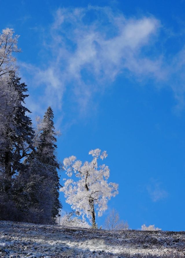 亞布力暖居別墅｜在童話裡滑雪，在城堡裡躺平！ 【住進風景裡的神仙操作】 - 窗外即大片：
