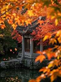 墜入秋天的童話天台山秋日漫遊指南
