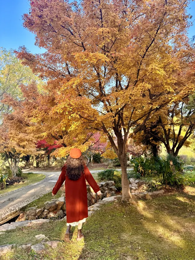 可惜你不來武漢，不知道東湖綠道秋天有多美！