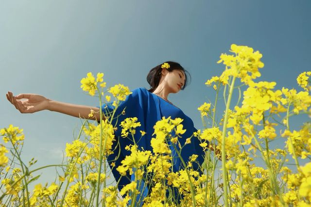 叮～打卡門源百里油菜花海！