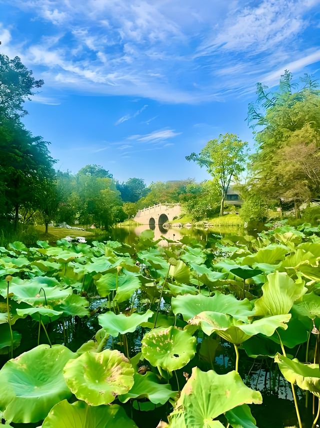 上海世博文化公園遊記