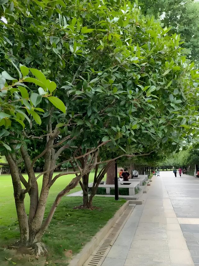 蘇州金秋尋香記：千年桂韻與江南風物指南