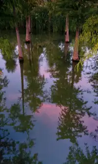 10.17上海小眾粉黛公園沒想到這麼美!!