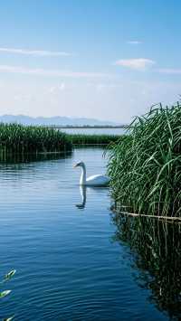 平頂山三日遊攻略