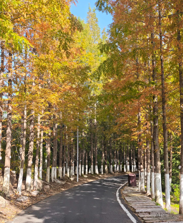瀋陽世博園秋日漫遊｜治癒系吸氧之旅