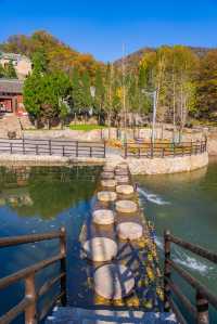 王屋山迎恩宮探店|在皇家道場尋一抹仙氣茶香