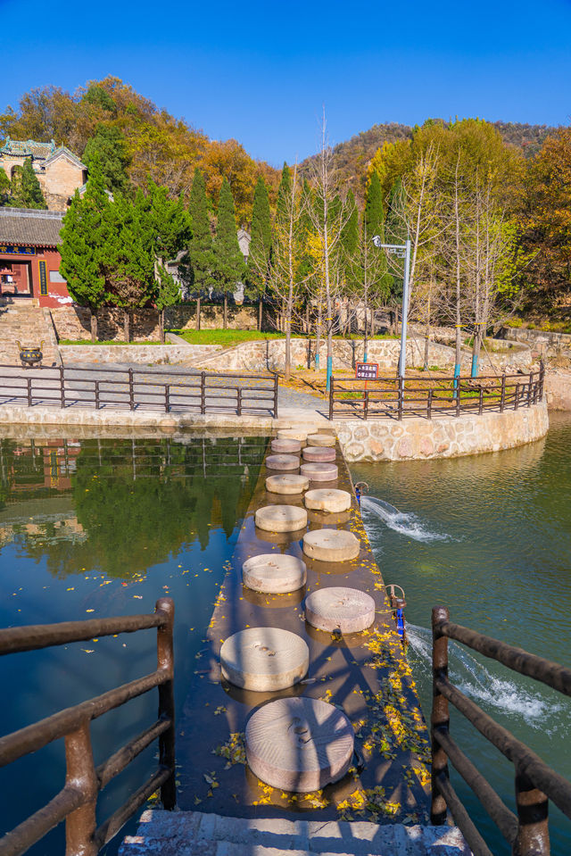 王屋山迎恩宮探店|在皇家道場尋一抹仙氣茶香 王屋山迎恩宮探店|在皇家道場尋一抹仙氣茶香