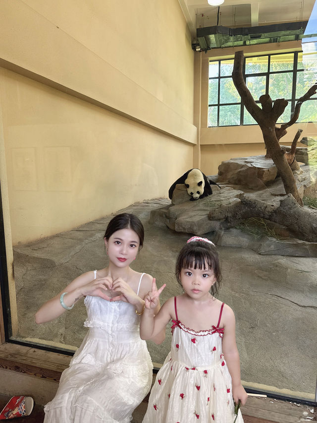 寧波一日遊!寧波野生動物園遛娃全職業攻略! 寧波一日遊!寧波野生動物園遛娃全職業攻略!