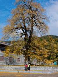 赴一場千年之約享避世之地的絕美秋色