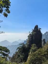 聽我的，不費腿看美景