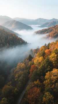 11月的光霧山四天三晚，打卡中國紅葉第一山！
