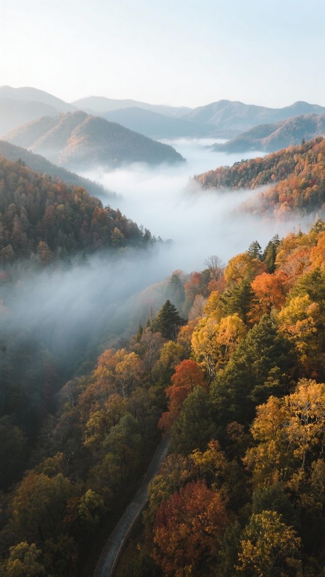 11月的光霧山四天三晚，打卡中國紅葉第一山！