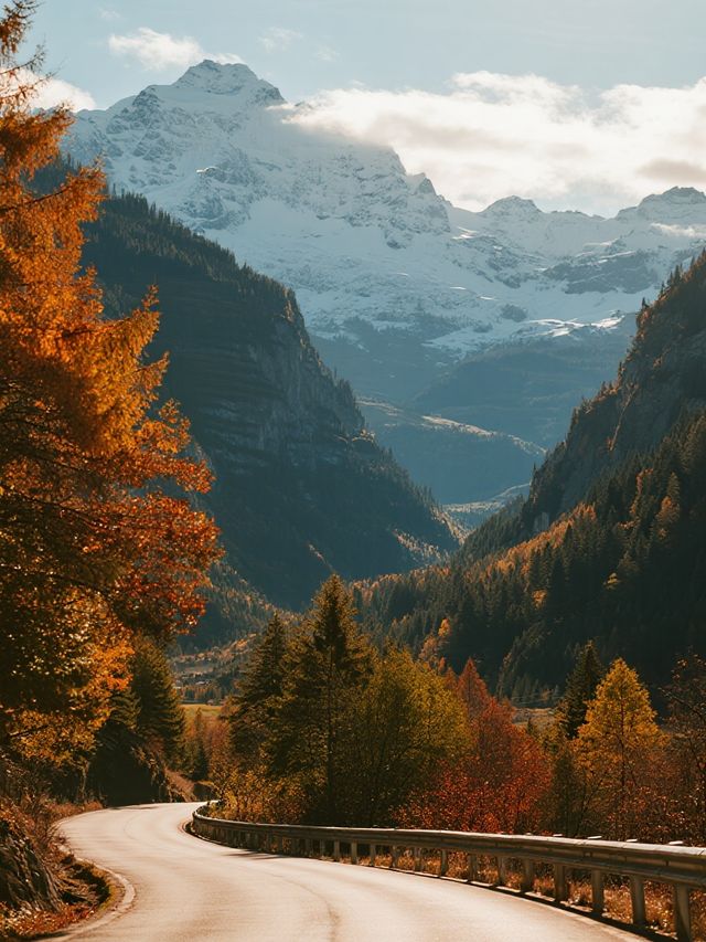 娃放電計劃！光霧山趣玩2天，爸媽也輕鬆