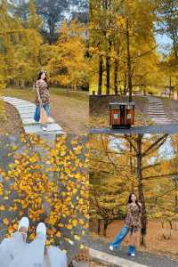 驅車4h來到韶關 就為了尋找秋天的顏色