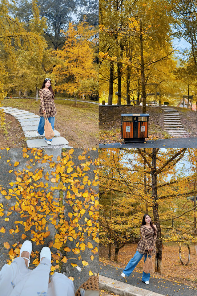 驅車4h來到韶關 就為了尋找秋天的顏色