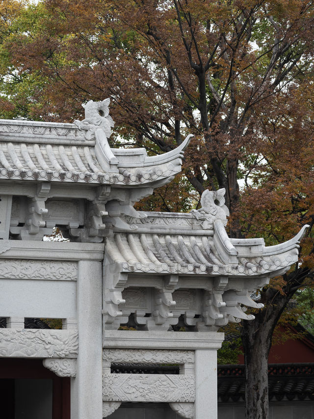 鹽官古城現場吃瓜乾隆是陳閣老的兒子！