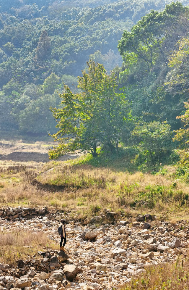 上海3h直達!初冬闖入畫龍村,在浙東古道邂逅瀑布梯田與治癒 上海3h直達!初冬闖入畫龍村,在浙東古道邂逅瀑布梯田與治癒