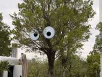 Hongqiao Park a Must to visit in Shenzhen