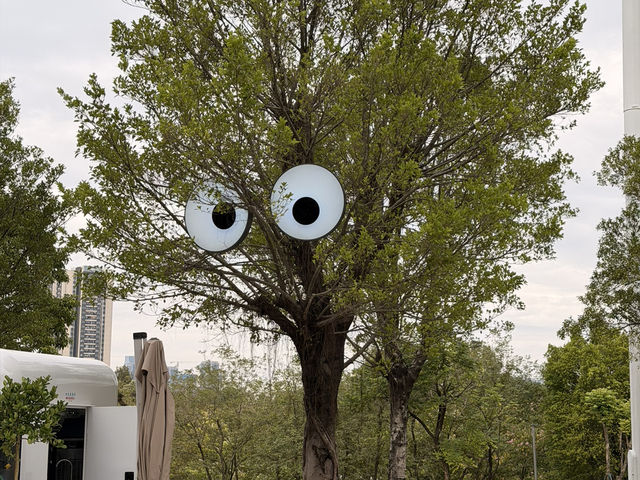 Hongqiao Park a Must to visit in Shenzhen Hongqiao Park a Must to visit in Shenzhen