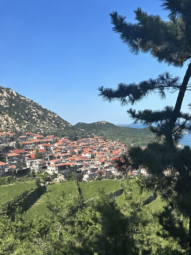 1天青島包車遊打卡熱門景點攻略