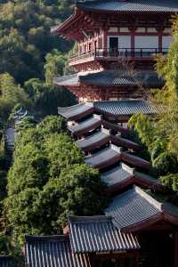 【長安荔枝香山遊，禪意旅途正當時】