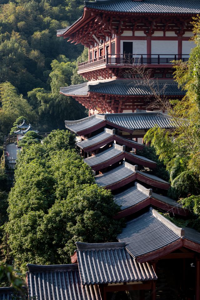 【長安荔枝香山遊，禪意旅途正當時】