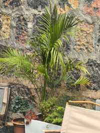 麗江不踩雷民宿！閱山觀景住著太上癮